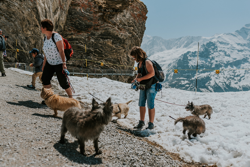 Basel_Interlaken_Switzerland_Swiss_First_grindelwald_photographer